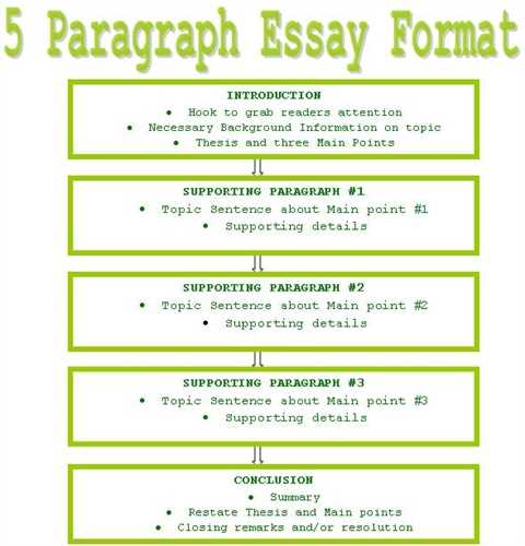 How to structure a paragraph in an academic essay